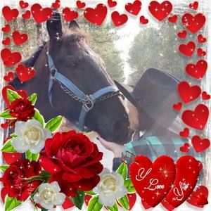 Meet your Posher, Marena